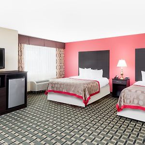 Studio Suite Two Double Beds Non-Smoking